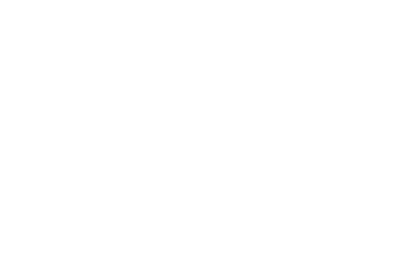 Christophe Le Saux